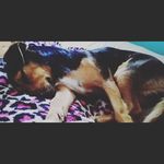 Eric Abraham Argote - @ericabrahamargote - Instagram