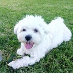 Eric Abrams James - @ericabrams6640 - Instagram