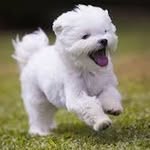 Eric Abrams James - @ericabrams777 - Instagram