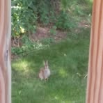 Eric Abresch - Facebook