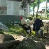 ERIC GIBAN ACEDO NUIZ MALUBAY - @ericacedo20 - TikTok