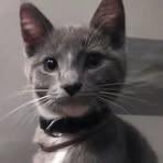 Eric Adcox - Facebook