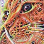 Erik Adkisson - @309erik - Instagram