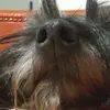Erick Aeschlimann - @erick.aeschlimann - TikTok