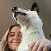E - @ericahl - TikTok