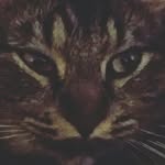 eric airheart - @eric_airheart - Instagram