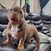 Eric Alaniz - Facebook