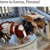 Eric Alaniz - @user1487567226606 - TikTok
