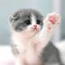 Eric Alba - Facebook