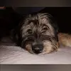 Erick  Ronald - @erick.alban - TikTok