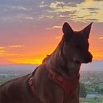 Eric Albanese - @eric.at.grandcanyon - Instagram