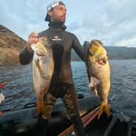 Eric Albertini - @eric.albertini - Instagram