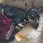 Eric Albertson - @ericalbertson9 - Instagram