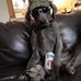 Eric Albin - Facebook