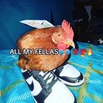 Eric Omar Alcaraz - @eric__alcaraz - Instagram