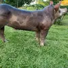 Eric Alcazar - @ericalcazar546 - TikTok