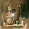 Erick Alcazar - @erickalcazar6 - TikTok