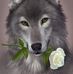Eric Aldea - Facebook