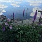 Eric M Alderman - @dayseezr - Instagram