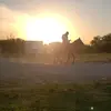 Eric Aleman - @eric.aleman86 - TikTok