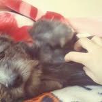 Eric aleman - @ericdarealbest - Instagram