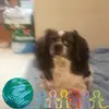 ERICALICEA759 - @ericalicea759 - TikTok
