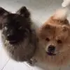 Eric Allemand - @eric.allemand - TikTok