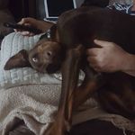 Eric Allgood - @eric.allgood1 - Instagram