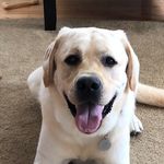 Eric Almon - @ejalmon - Instagram