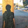 E - @ericalmondtree - TikTok