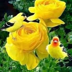 Eric Almonte - Facebook