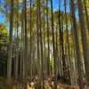 Eric Almquist - @ericalmquist - TikTok