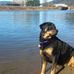 Eric Almquist - Facebook