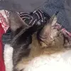 Eric_alt - @eric_alt2 - TikTok