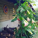 Eric Amaro - @rancho_tequiahuac - Instagram