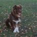 Eric Amedee Maillard - Facebook