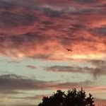 Eric Ameling - @eric16th - Instagram