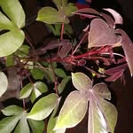 Eric K Ampofo - @ampofoerick - Instagram