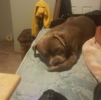 Eric Amrhein - Facebook
