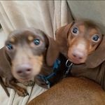 Eric Jon Amundsen - @eric_amundsen - Instagram