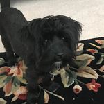 Eric Amundson - @slave2pay - Instagram