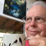 Eric Amundson - @eric4birds - Instagram