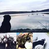 Eric Amundson - @ericamundson - TikTok