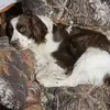 ericamundson258 - @ericamundson258 - TikTok