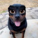 Eric Anacleto - @raskal_25 - Instagram