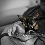 Eric Anacleto - Facebook