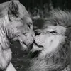 Rezerved - @ericanastasia1 - TikTok