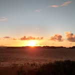 Eric Andersen - @eric_andersen_1 - Instagram