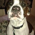 Eric Anderton - @andertoneric - Instagram