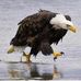 Eric Andreasen - Facebook